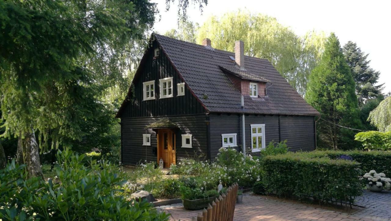 "Haus Am Knobben" Villa Uslar Exterior photo