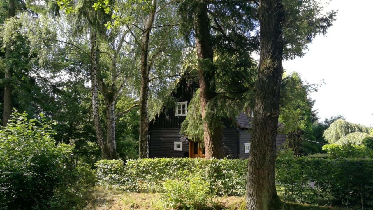 "Haus Am Knobben" Villa Uslar Exterior photo