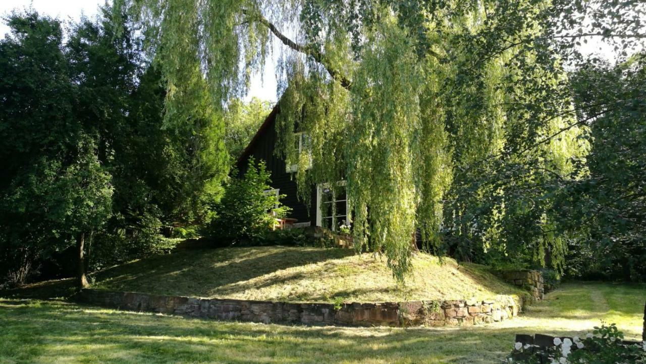 "Haus Am Knobben" Villa Uslar Exterior photo